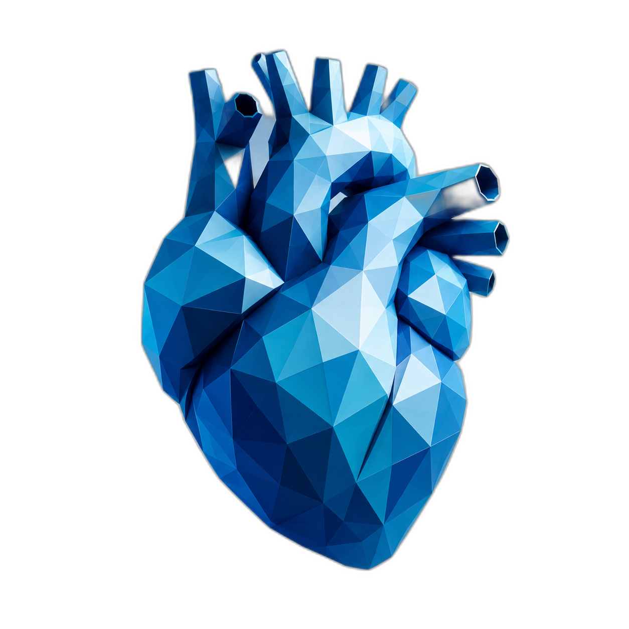 Anatomical poly heart